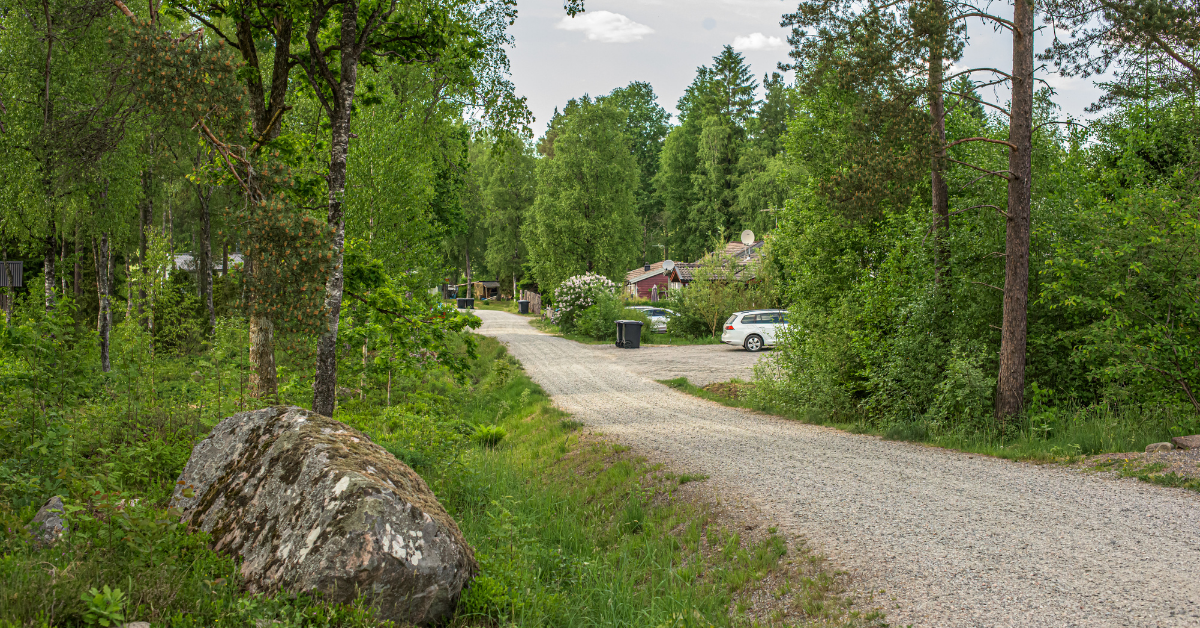 Grusvei mellom trær og hus